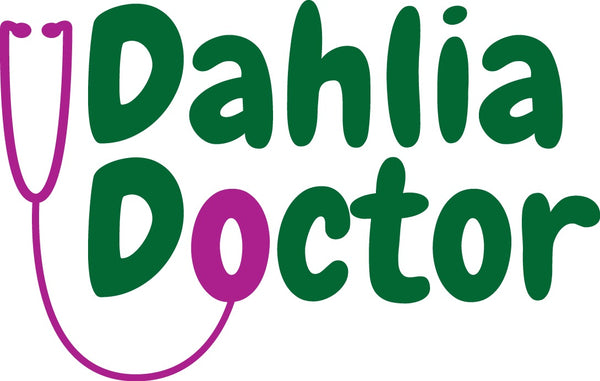 Dahlia Doctor