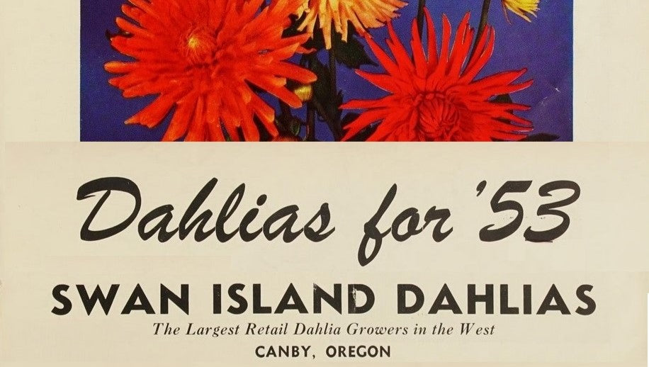 Catalog of Swan Island Dahlias 1953 Dahlia Doctor